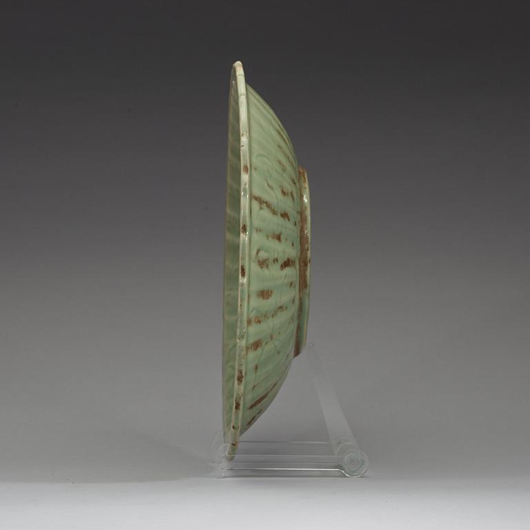 FAT, celadon. Mingdynastin (1368-1644).