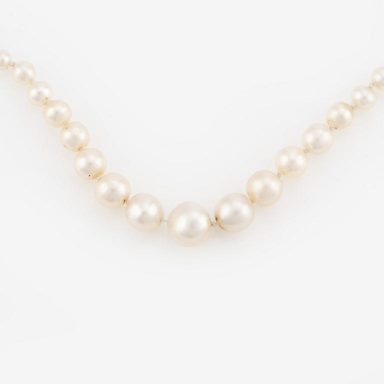 Necklace, with graduated pearls and an 18K white gold clasp with diamonds.