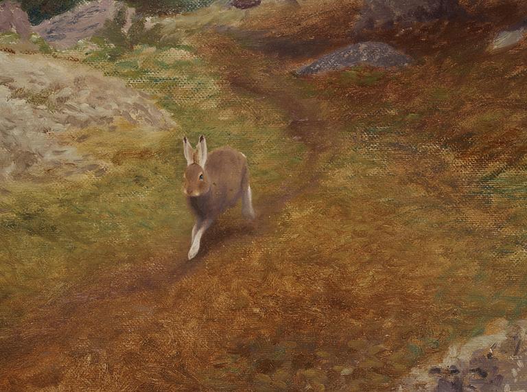 Bruno Liljefors, Landskap med hare.