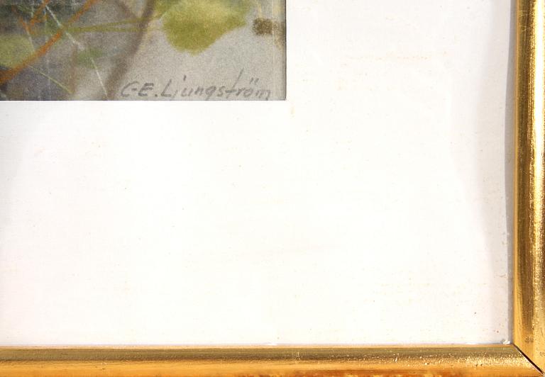 CARL ERIC LJUNGSTRÖM, pastell, sign.