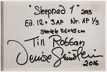 Denise Grünstein, "Skepnad", 2015.