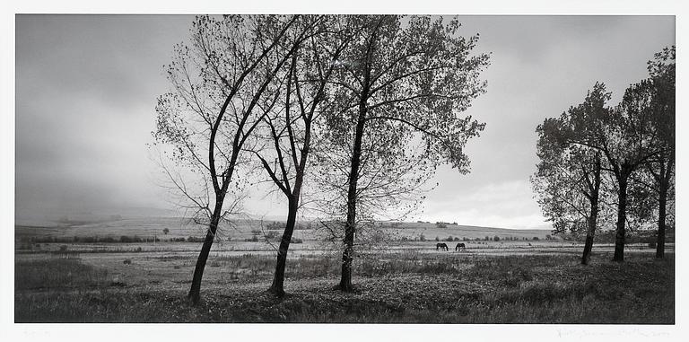 Pentti Sammallahti, "VRACANSKA PLANINA, BULGARIA".