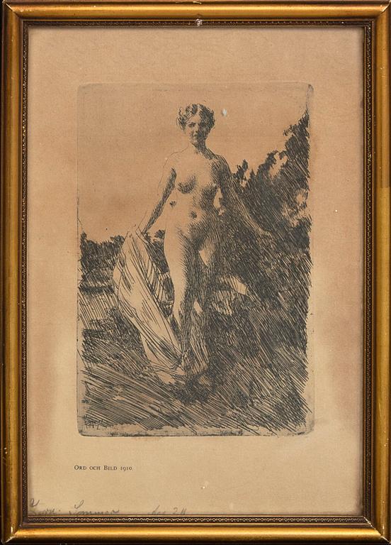Anders Zorn, an etching.