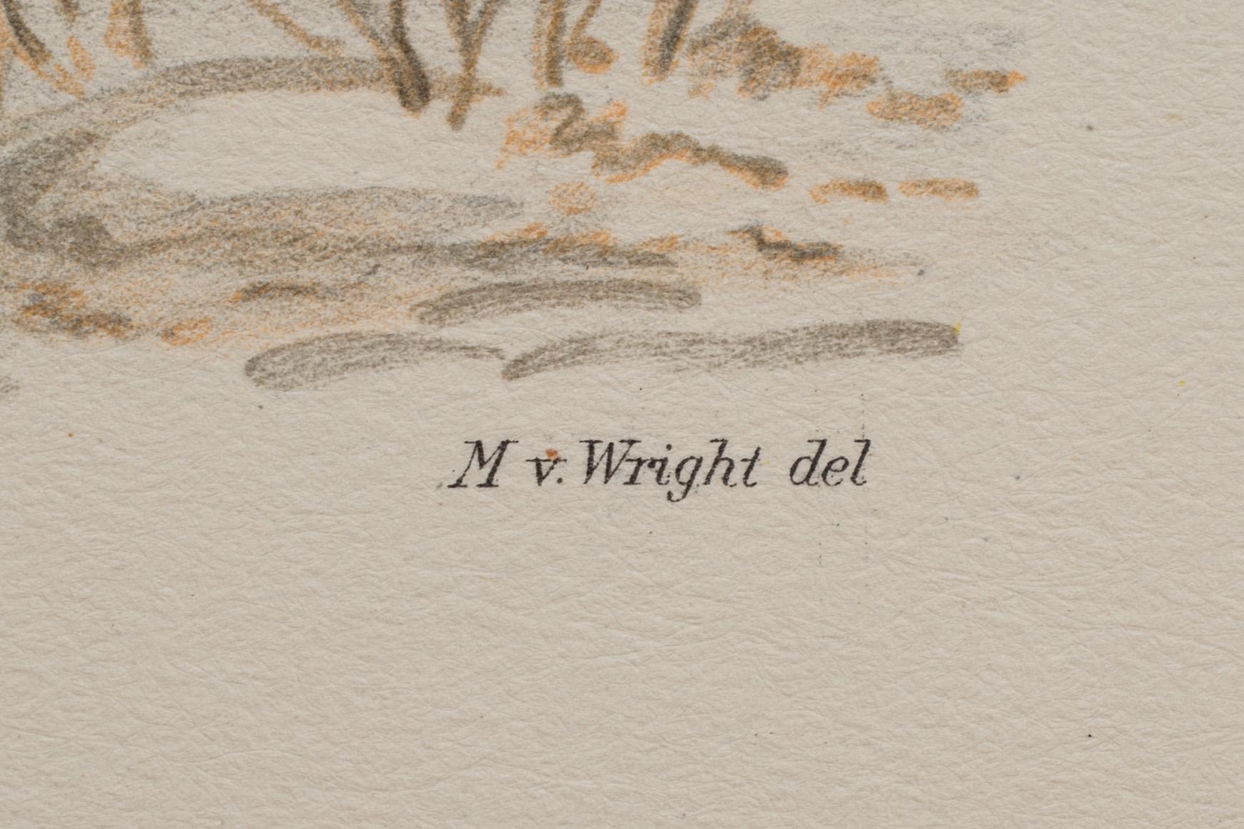 LITOGRAFIER, 41 st, ur "Svenska fåglar", Bror Hallberg, Magnus och Wilhelm von Wright, 1900-talets första hälft.