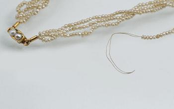 COLLIER, troligtvis med små orientaliska pärlor, lås i 18K guld.