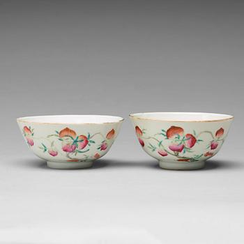 A pair of famille rose 'nine peaches' bowls, Qing dynasty, 19th century, with a 'Shende Tangzhi' mark.