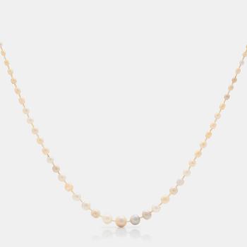 573. A natural freshwater pearl necklace. Clasp with rosecut diamonds. Certificate from GCS.