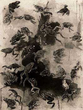 PG Thelander, untitled.