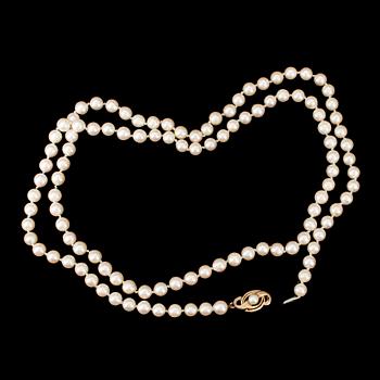 COLLIER, odlade pärlor, lås 18 k guld.
