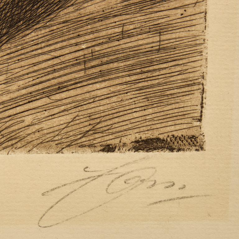 Anders Zorn, "Bärsärk".