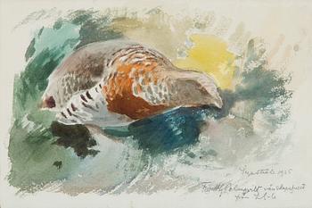 Lennart Segerstråle, Orre.