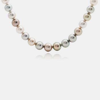 687. A cultured Tahitian pearl necklace. Pearls Ø 12.2 - 14.9 mm.