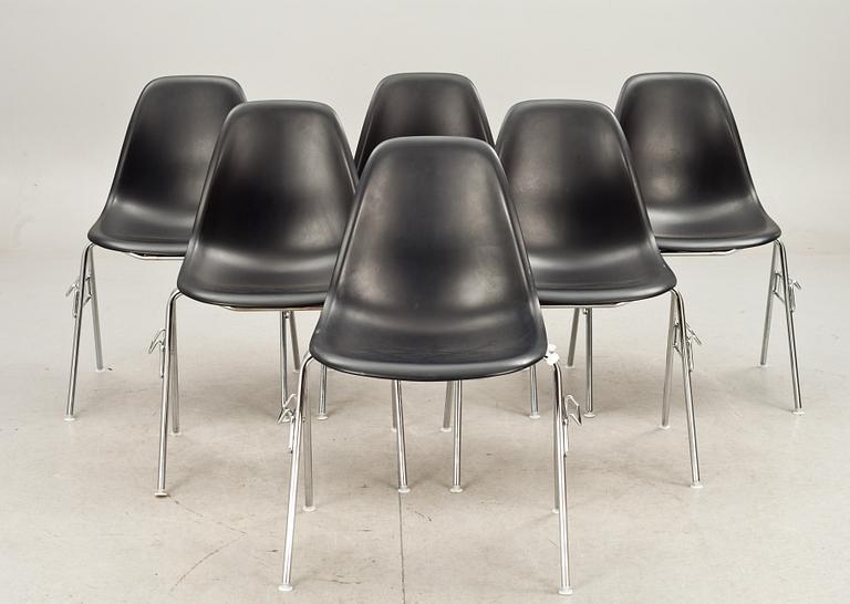 STOLAR, 6 st. "DSS" Charles Eames för Vitra. Etikettsmärkta.