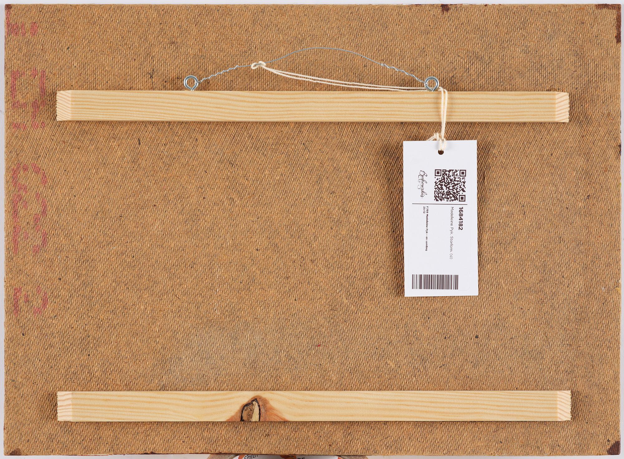 Madeleine Pyk, Great Northern Diver.