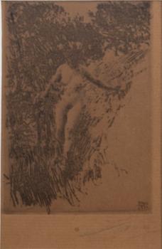 Anders Zorn, Buskage.