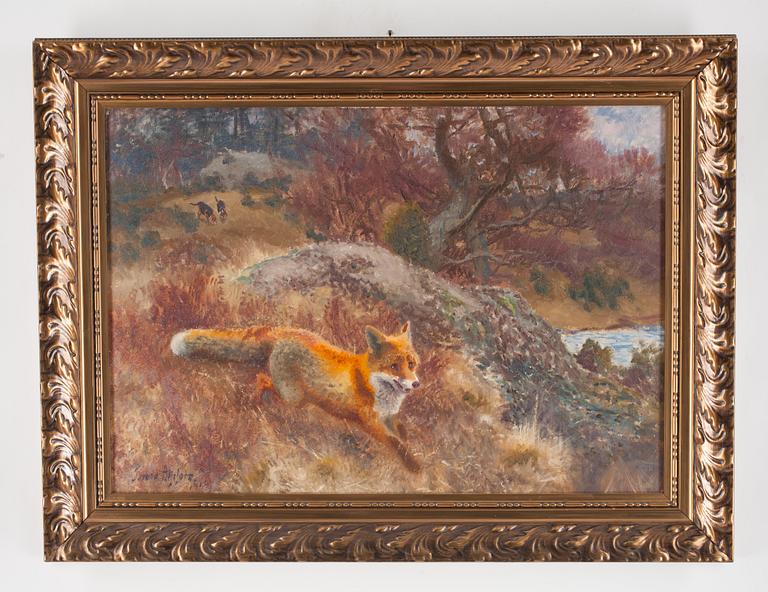 Bruno Liljefors, Fox with hounds.