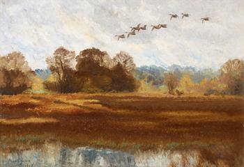 Bruno Liljefors, A flight of wild ducks.