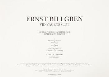 Ernst Billgren, Portfölj "Vid vägens slut".