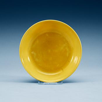 1388. A yellow glazed dish, Ming dynasty with Zhengdes six character mark and of the period.