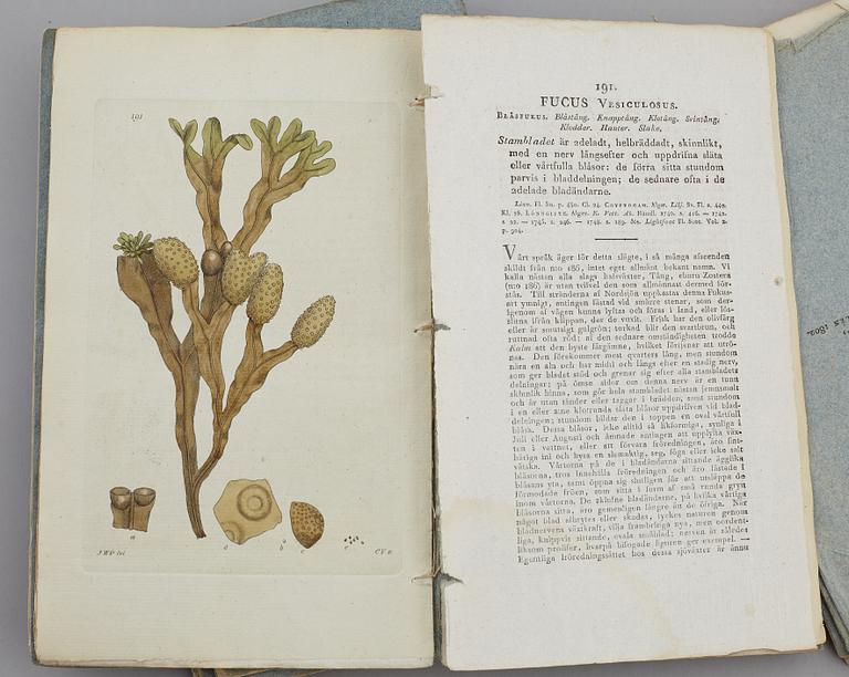 JOHAN WILHELM PALMSTRUCH, "Svensk Botanik, vol I-V. 1803-1805.