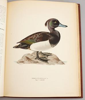 A set of three books about Swedish birds by von Wright. 1927.