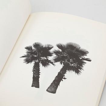 Edward Ruscha, "A few palm trees", 1971.