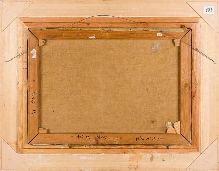 Santeri Salokivi, Kvinnan från Skärgården.