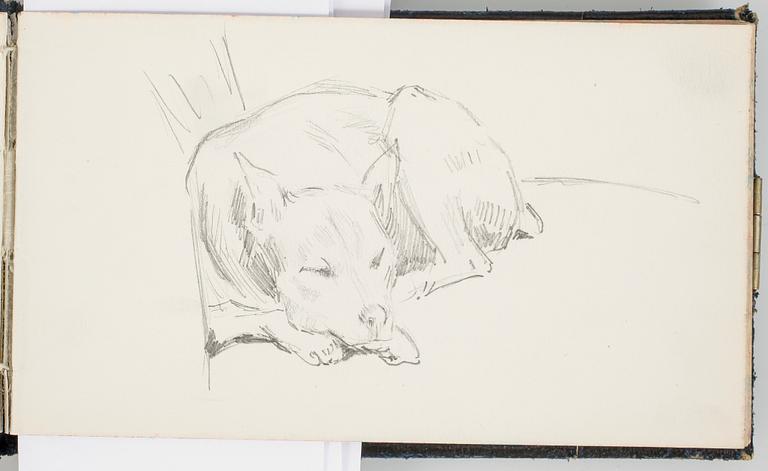 ROBERT THEGERSTRÖM, skissbok med 65 blad. Signerad och daterad 15/6 1894.