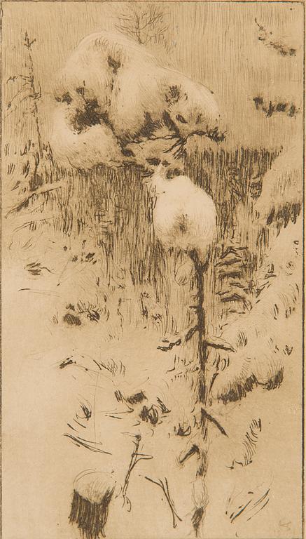 Akseli Gallen-Kallela, Luminen mänty.