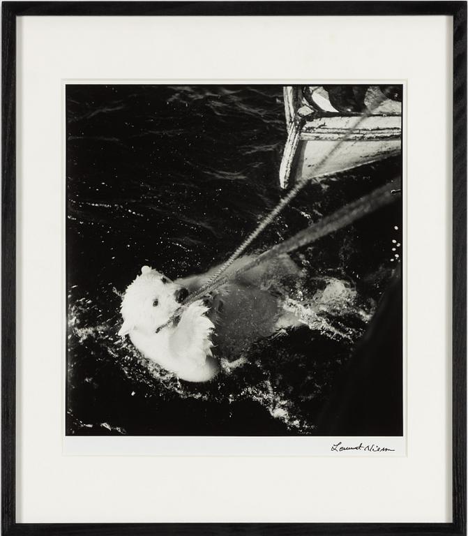Lennart Nilsson,  "Isbjörnsjakt vid Hvitøya (Vitön), Svalbard, Norge 1947".