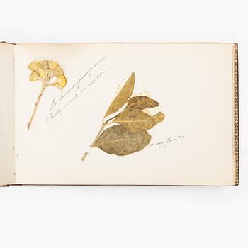 Album with among other things 16 pieces of watercolours and drawings by Swedish artists.