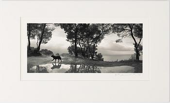 Pentti Sammallahti, "Cilento, Italia, 1999".