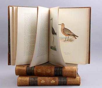 BÖCKER,3 vol. VON WRIGHT, M,W & F: "SVENSKA FÅGLAR". Stockholm 1924-29.