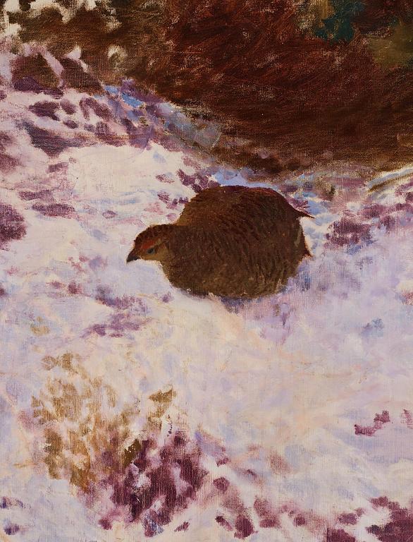 Bruno Liljefors, Winter scene with a black grouse.