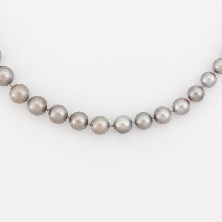 Cultured Tahiti pearl necklace.