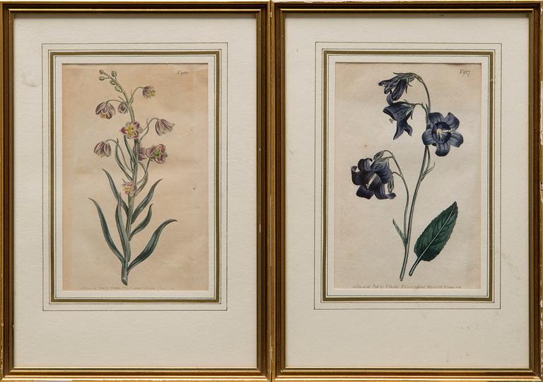 A pair of hand-coloured copper engravings after Syd Edwards, engraved by F. Sanform, 1806.
