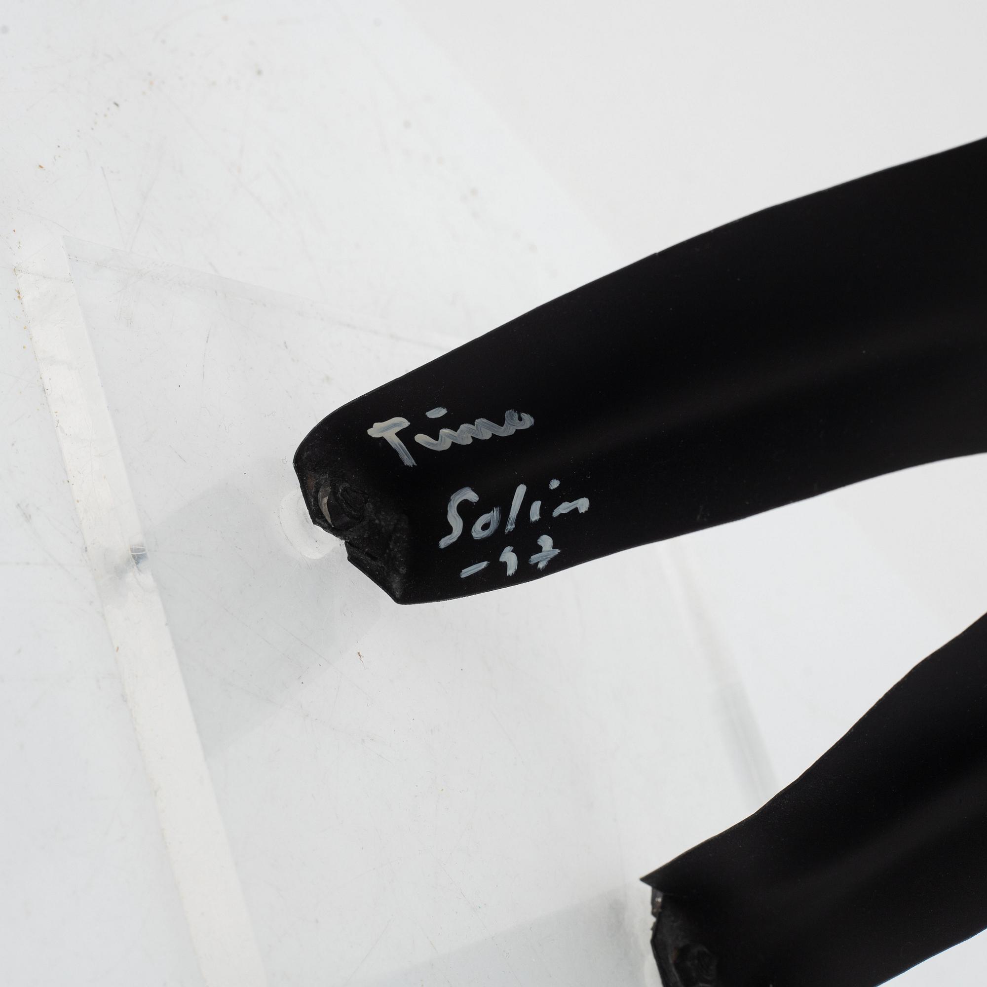 Timo Solin, "Mannen - Vargen".