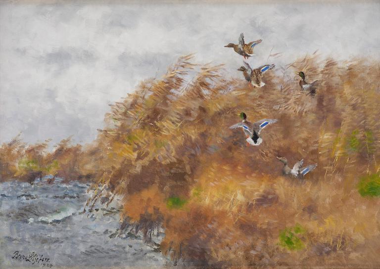 Bruno Liljefors, Flying wild ducks in the reeds.