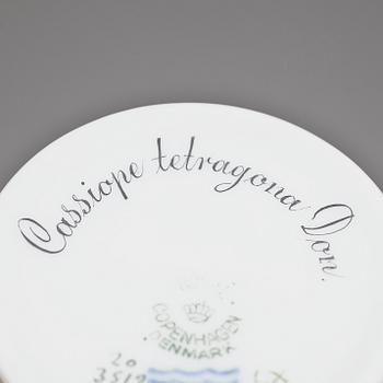 SERVISDELAR, 5+3 delar, porslin bl a Flora Danica och Royal Copenhagen.