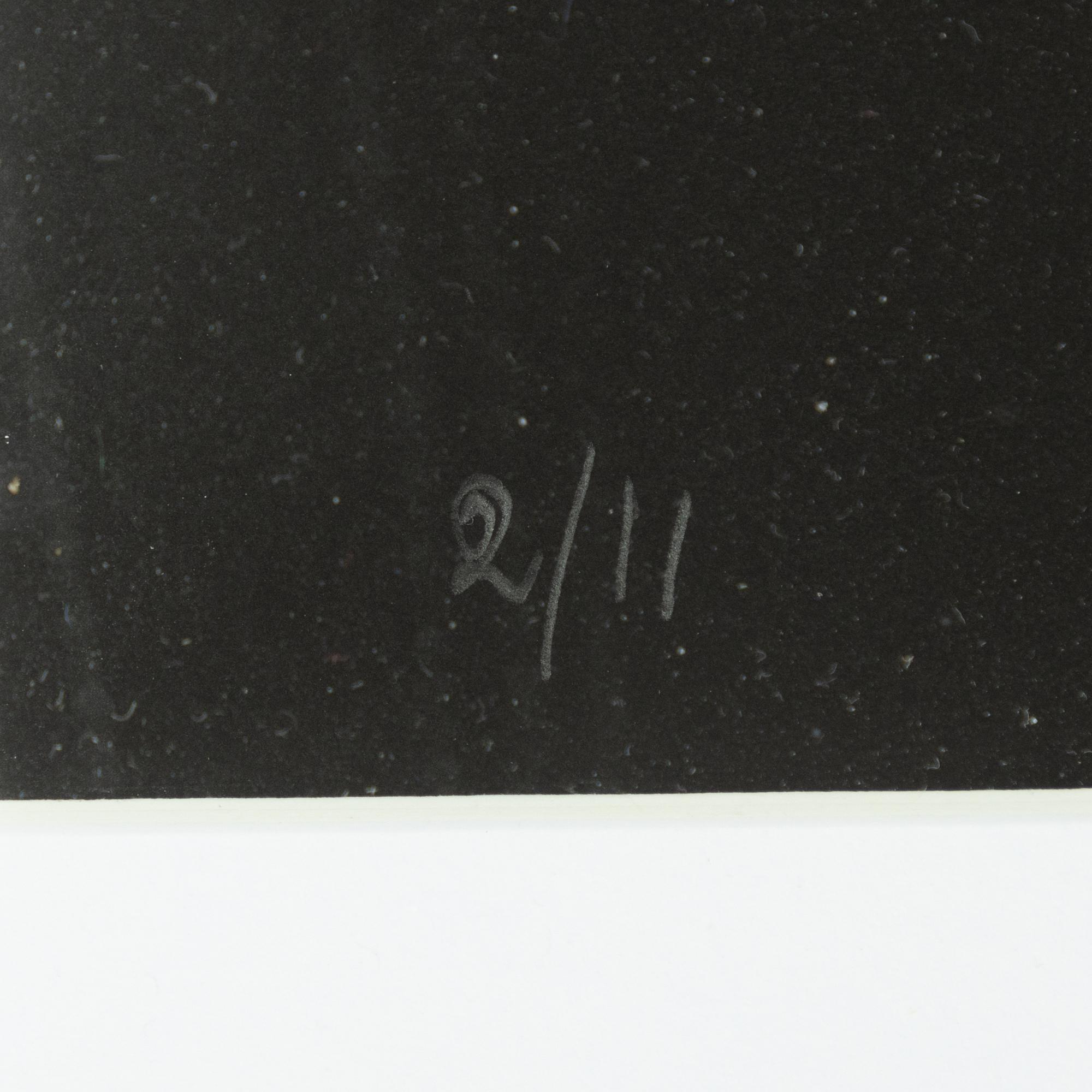 Peter Kjellerås, "Lou Reed, Stockholm", 1996.