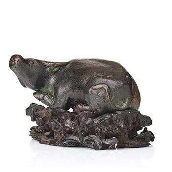 A bronze scultpure of a water buffalo, Ming dynasty (1368-1644).