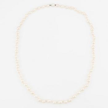 A cultured pearl necklace.