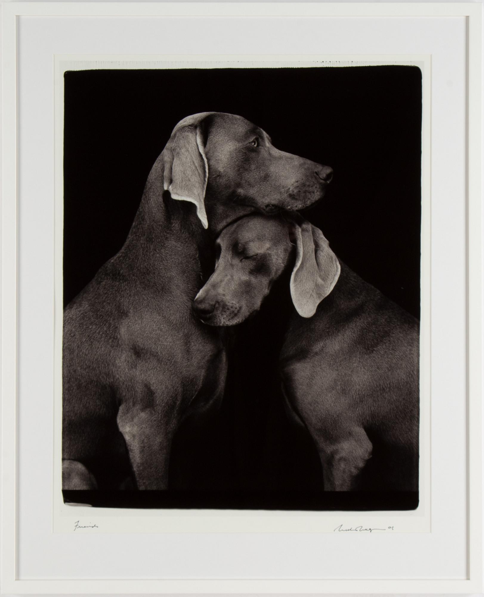 William Wegman, photograph, signed and dated -05.