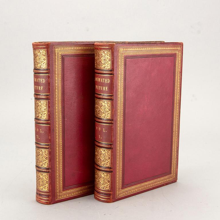 OLIVER GOLDSMITH 'A History of The Earth and Animated Nature' I-II, hand colored plates, c 1870.