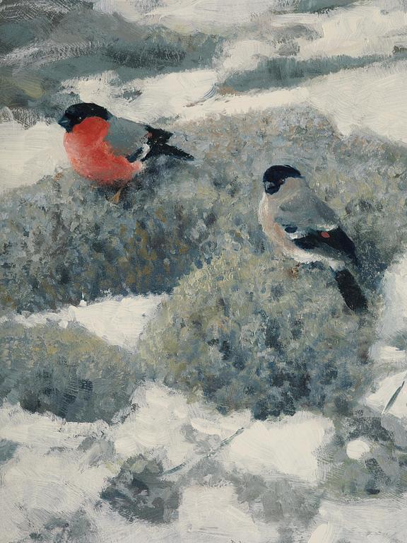 Thure Wallner, "Domherrar" (Bullfinches).