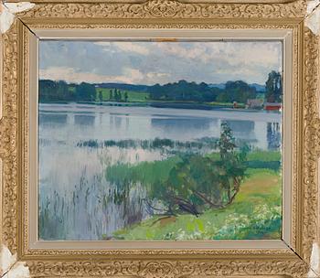 Wilho Sjöström, Lake view.