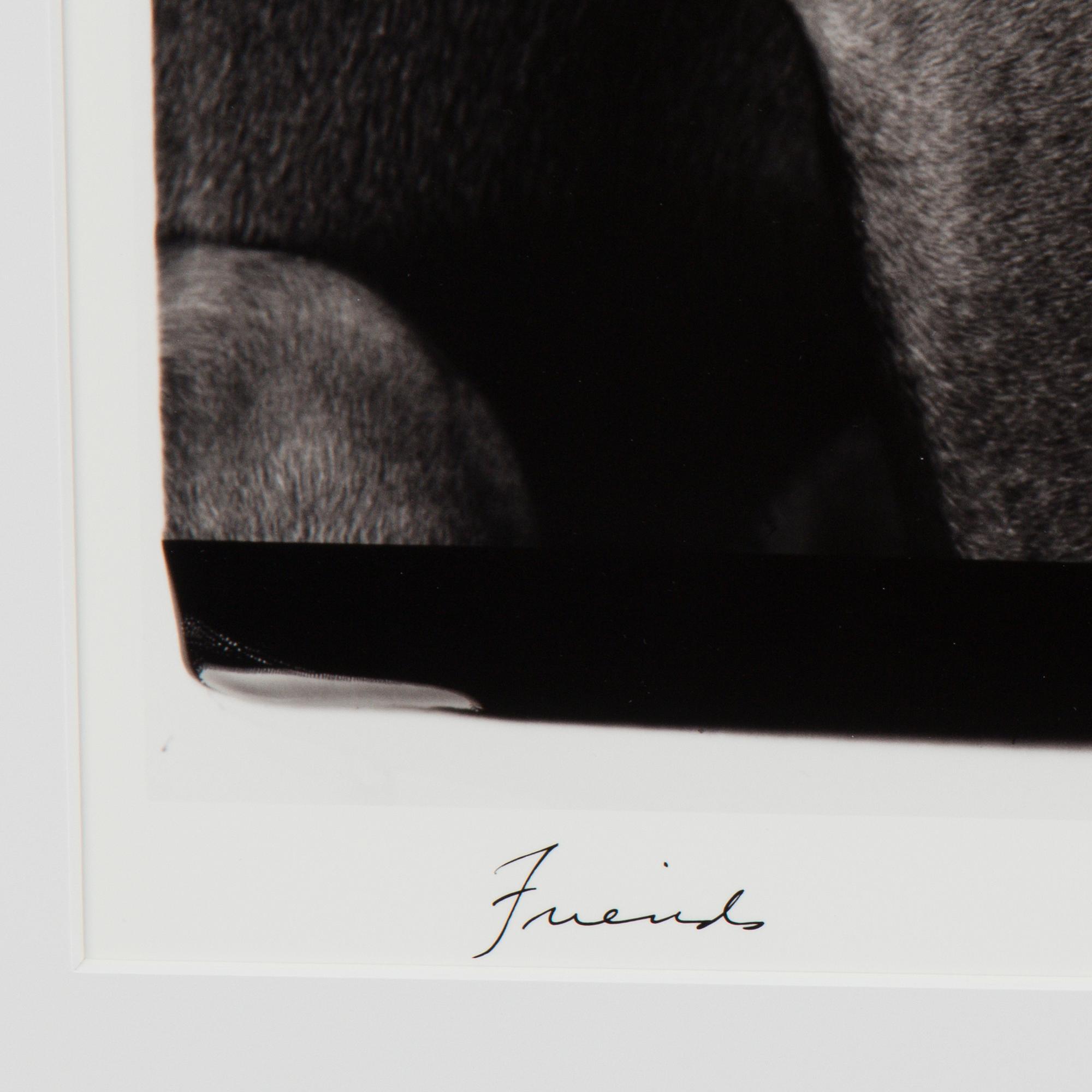 WILLIAM WEGMAN, photography signed William Wegman, edition of 1500.