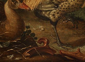 Gijsbert Gillisz. de Hondecoeter Attributed to, The duck and chicken family.