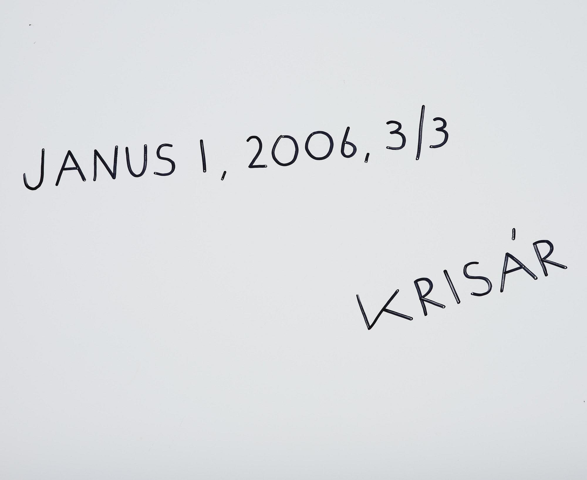 Anders Krisár, "Janus 1", 2006.