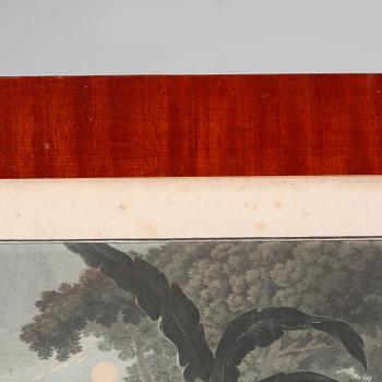 Six etchings in color by Charles-Melchior Descourtis after Jean-Frederic Schall, 18th or 19th century.